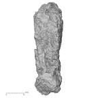 DV14-181 Homo sapiens bone fragment view 2