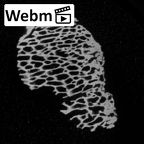 DV14-UNKNOWN Homo sapiens bone fragment ct stack movie