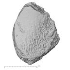DV14-UNKNOWN Homo sapiens bone fragment view 1