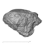 DV14-UNKNOWN Homo sapiens bone fragment view 2