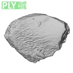 DV14-UNKNOWN Homo sapiens bone fragment ply