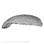DV14-UNKNOWN Homo sapiens bone fragment view 2