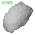 DV14-UNKNOWN Homo sapiens bone fragment ply