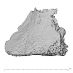 DV14-UNKNOWN Homo sapiens bone fragment view 1