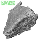 DV14-UNKNOWN Homo sapiens bone fragment ply