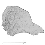 DV14-UNKNOWN Homo sapiens bone fragment view 1