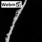 DV14-UNKNOWN Homo sapiens bone fragment ct stack movie