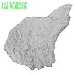 DV14-UNKNOWN Homo sapiens bone fragment ply