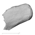 DV14-UNKNOWN Homo sapiens bone fragment view 1