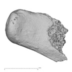 DV14-UNKNOWN Homo sapiens bone fragment view 2