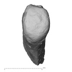 DV14-UNKNOWN Homo sapiens bone fragment view 3