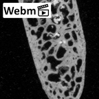 DV14-UNKNOWN Homo sapiens bone fragment ct stack movie
