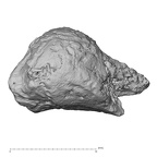 DV14-UNKNOWN Homo sapiens bone fragment view 2