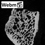 DV14-UNKNOWN Homo sapiens bone fragment ct stack movie