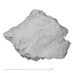 DV14-UNKNOWN Homo sapiens bone fragment view 1