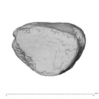 DV14-UNKNOWN Homo sapiens bone fragment proximal