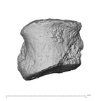 DV14-UNKNOWN Homo sapiens bone fragment superior