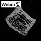 DV14-UNKNOWN Homo sapiens bone fragment ct stack movie
