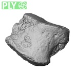 DV14-UNKNOWN Homo sapiens bone fragment ply