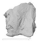 DV14-UNKNOWN Homo sapiens bone fragment view 1