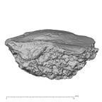 DV14-UNKNOWN Homo sapiens bone fragment view 2