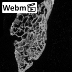 DV14-UNKNOWN Homo sapiens bone fragment ct stack movie