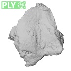 DV14-UNKNOWN Homo sapiens bone fragment ply