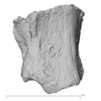 DV14-UNKNOWN Homo sapiens bone fragment view 1