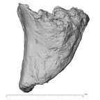 DV14-UNKNOWN Homo sapiens bone fragment view 2