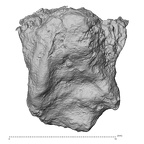 DV14-UNKNOWN Homo sapiens bone fragment view 3