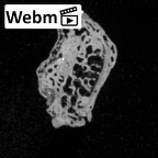DV14-UNKNOWN Homo sapiens bone fragment ct stack movie