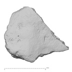 DV14-UNKNOWN Homo sapiens bone fragment view 1