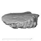 DV14-UNKNOWN Homo sapiens bone fragment view 2