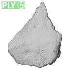 DV14-UNKNOWN Homo sapiens bone fragment ply