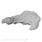 DV16-156 Homo sapiens bone fragment view 1