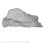 DV16-156 Homo sapiens bone fragment view 2