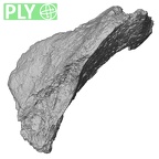 DV16-156 Homo sapiens bone fragment ply