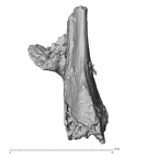 DV16-UNKNOWN Homo sapiens bone fragment view 1