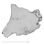 DV16-UNKNOWN Homo sapiens bone fragment view 2