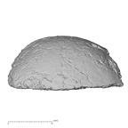 DV18 Homo sapiens bone fragment view 1