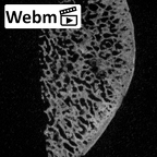 DV18 Homo sapiens bone fragment ct stack movie