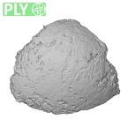 DV18 Homo sapiens bone fragment ply