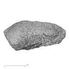 DV19 Homo sapiens bone fragment view 2