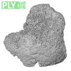 DV19 Homo sapiens bone fragment ply