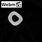 DV13-84 Homo sapiens humerus right ct stack movie