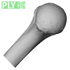 DV13-84 Homo sapiens humerus right proximal ply