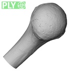 DV13-85 Homo sapiens humerus left proximal ply
