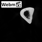 DV13-87 Homo sapiens ulna left ct stack movie