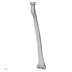 DV13-89 Homo sapiens radius left anterior