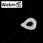 DV13-89 Homo sapiens radius left ct stack movie